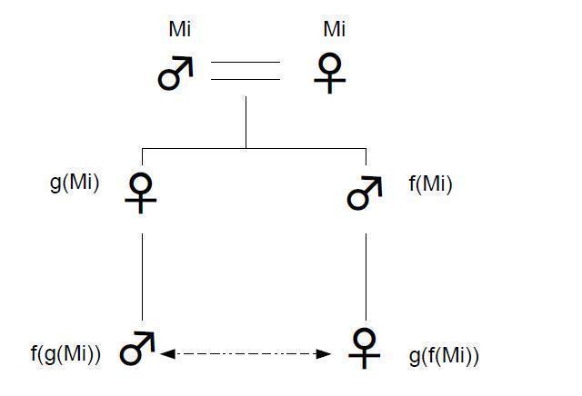 親族の基本構造』での群論＿（３）: T_NAKAの(新)阿房ブログ